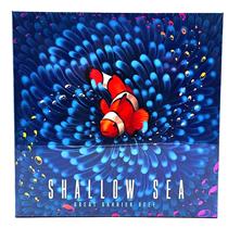 Shallow Sea Kickstarter Edition by Bad Comet - SEALED