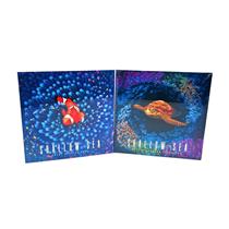 Shallow Sea: Ocean Tier KS Bundle by Bad Comet - SEALED