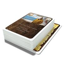 Fleet: Arctic Bounty 54 Cards Expansion Pack (Cards Only) by Eagle Gryphon