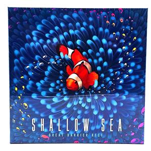 Shallow Sea Kickstarter Edition by Bad Comet - SEALED
