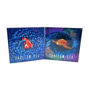 Shallow Sea: Ocean Tier KS Bundle by Bad Comet - SEALED