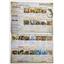 Evolution New World Base Game 2023 by CrowD Games SEALED