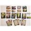 Evolution New World Base Game 2023 by CrowD Games SEALED