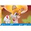 First4Figures Sonic and Tails Diorama Standard Version MIB