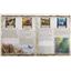 Evolution New World Kickstarter 2023 ALL-IN by CrowD Games SEALED
