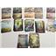Evolution New World Kickstarter 2023 ALL-IN by CrowD Games SEALED