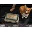First4Figures Cowboy Bebop: Ed and Ein Standard Ed. Statue MIB
