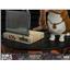 First4Figures Cowboy Bebop: Ed and Ein Standard Ed. Statue MIB