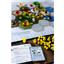 GMT Games Dominant Species 2nd Edition 6th Printing SEALED