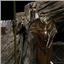 Weta Lord of the Rings Hobbit Master Collection Thranduil on Throne Statue HUGE