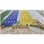 Zoo Tycoon: The Board Game Standard Ed