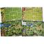 Zoo Tycoon: The Board Game Standard Ed