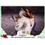 First4Figures Okami: Chibiterasu vs Dark Chibiterasu & Possessed Kuni Std Ed MIB