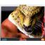 First4Figures Tekken 5 King II Statue Mint in Box