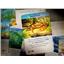 GMT Games Dominant Species: Marine SEALED