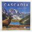 Cascadia 2023 Kickstarter Edition by Flatout Games SEALED