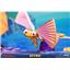 First4Figures Spyro Reignited - Spyro Regular Edition Statue Mint in Box