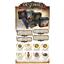 Destinies Witchwood Deluxe Kickstarter Ed + Storage Solution by Lucky Duck Games
