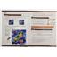 The Search for Lost Species by Renegade Games SEALED