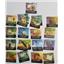 Creature Comforts Kickstarter Exclusive Edition + Promo Cards by KTBG  SEALED