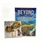 Beyond the Horizon + Promo Cards by Capstone Games - SEALED