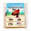 Citizens of the Spark Game by Thunderworks Games - SEALED
