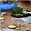 Nature: The Board Game by North Star Games - SEALED