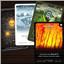 Board Royale: The Island - Disaster Expansion Pack by Arvis Games - SEALED