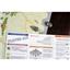 Fighting Formations: US 29th Infantry Division by GMT Games - SEALED