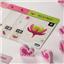 Graft Limited Edition by IV Studio - SEALED