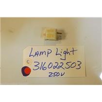 KENMORE  STOVE 316022503  Lamp Light  USED PART