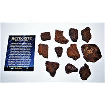 MOROCCAN Chondrite Stony METEORITE "B" Grade Lot 238.2 grams #14294 12o