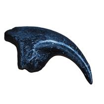 Allosaurus Dinosaur Toe Claw Cast #17 (Fossil Replica - Reproduction) 7o