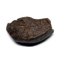 Chondrite MOROCCAN Stony METEORITE Genuine 124.7 grams w/ COA  #17125 8o