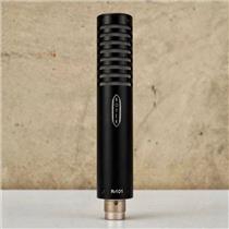 Royer R-101 Passive Ribbon Microphone w/ Case & Shockmount #56332