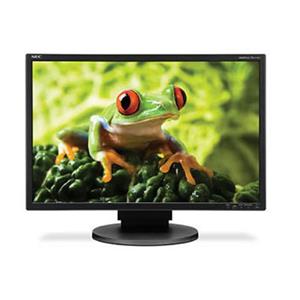 NEC MultiSync EA241WM-BK 24\" Widescreen LCD Monitor with built-in speakers