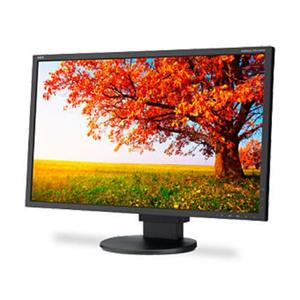 NEC EA244WMI-BK LED LCD Monitor