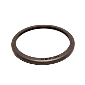 A16853AA - 5R55N, BONDED FORWARD CLUTCH CUSHION, 1999-2002 - FITS FORD