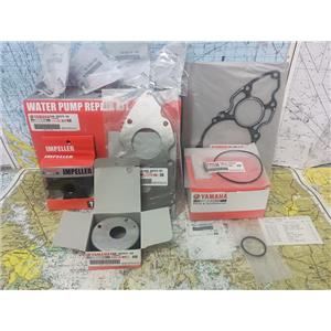 Boaters' Resale Shop of TX 2602 2802.01 YAMAHA WATER PUMP REPAIR KIT 6AW-W0078-0