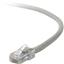 Belkin A3L791-75 Patch Cable - Rj-45 [m] 75 Ft [ Cat 5e ] Gray