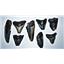 MEGALODON TEETH  Lot of 8 Fossils w/ 8 Info Cards Huge SHARK #14224 17o