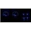 1968 Chevy Camaro w/ Console Gauges VHX System, Satin Alloy Style Face, Blue Display