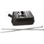 Tanks Inc. 1949-51 Ford Polyethylene Fuel Tank With Straps 51P