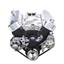 CVF Racing Chevy Big Block Serpentine Conversion Kit - Power Steering, Electric Water Pump