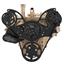 Black Diamond Serpentine System for Oldsmobile 350-455 - Alternator Only - All Inclusive