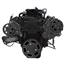 Black Diamond Serpentine System for LT1 Generation II - Alternator Only - All Inclusive