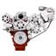 Chevy LS Engine Mid Mount Serpentine Kit - TorqStorm - AC, Alternator & Power Steering