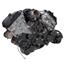 Stealth Black Serpentine System for Ford Coyote 5.0 - AC & Alternator - All Inclusive