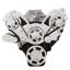 CVF Racing Serpentine System for Big Block Chevy Gen. VI - Alternator Only - All Inclusive