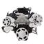 CVF Racing Serpentine System for LT1 Generation II - AC & Alternator - All Inclusive